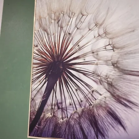 Apartmán Grosszuegige 140qm Zentral Von *